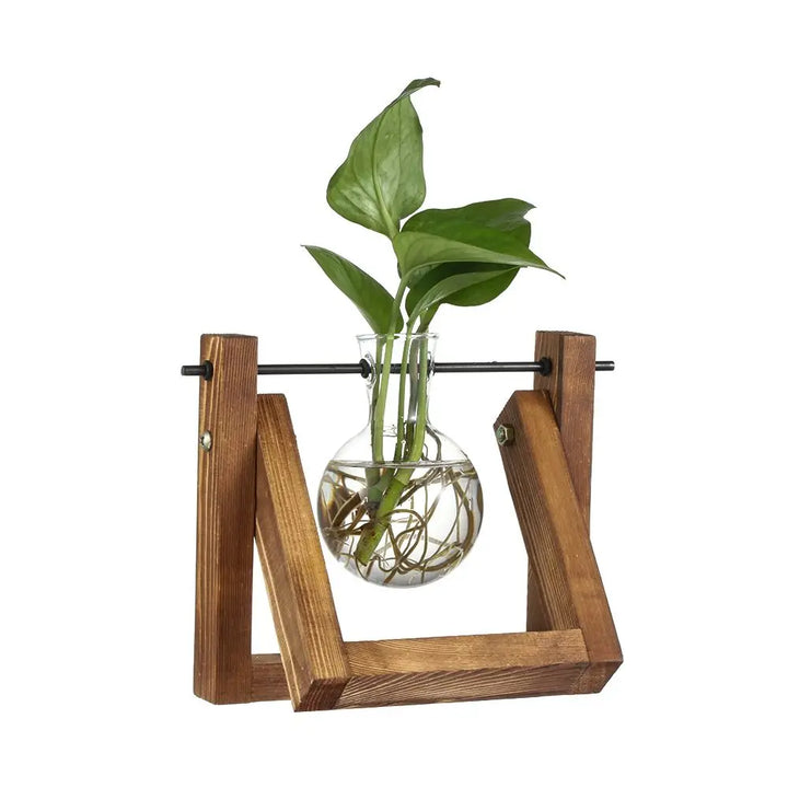 Hydroponic Glass Plant Pots