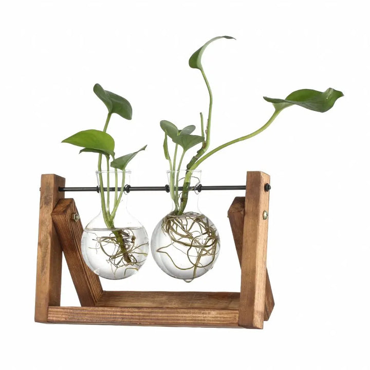 Hydroponic Glass Plant Pots