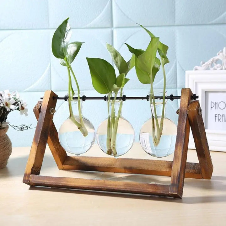 Hydroponic Glass Plant Pots