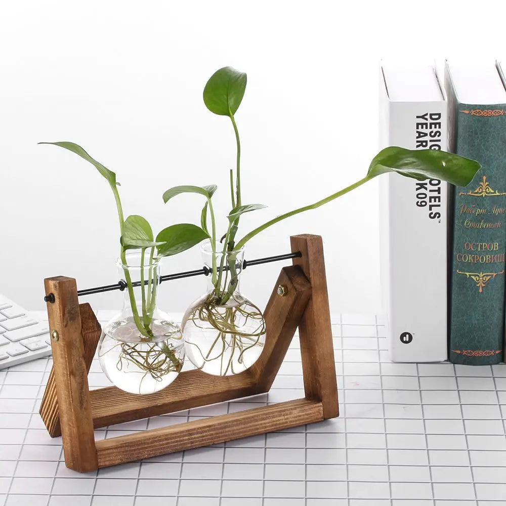Hydroponic Glass Plant Pots